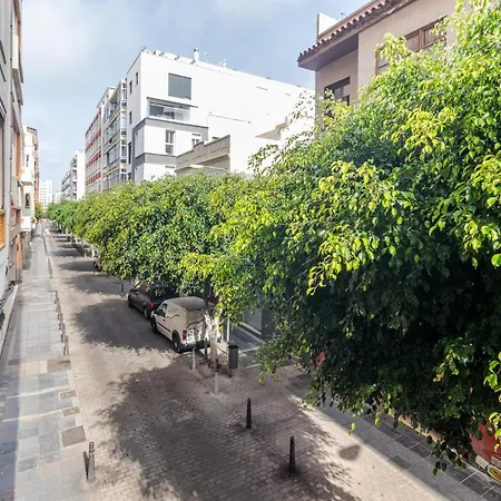 Apartment Flatguest Malva Las Palmas de Gran Canaria