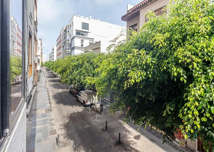 Daire Malva Las Palmas de Gran Canaria